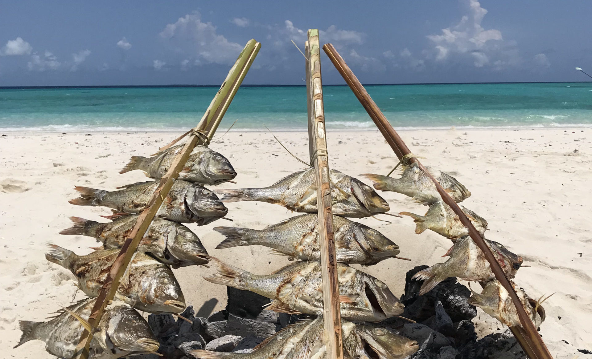 fish_lunch